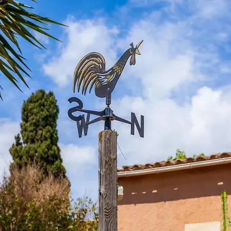 App Mit Dachterrasse Panoramablick * Son Macia (Mallorca)